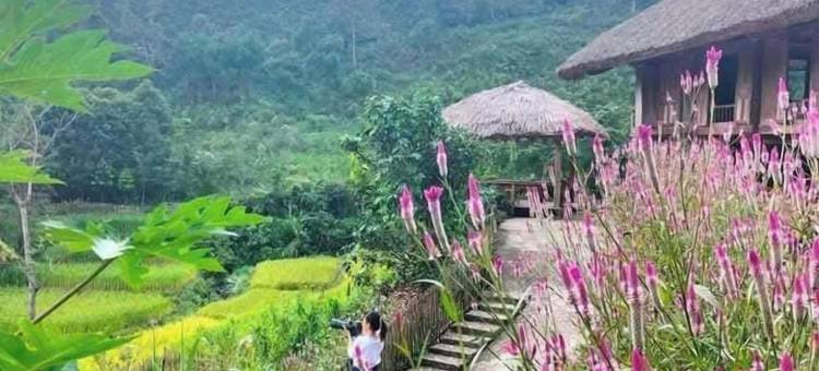 Binh Ban Lien民宿(Binh Ban Lien Homestay)图片