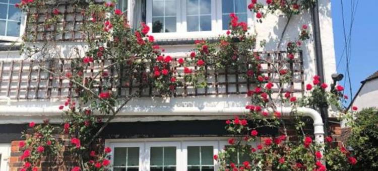 黑兹尔威克(Hazelwick)图片