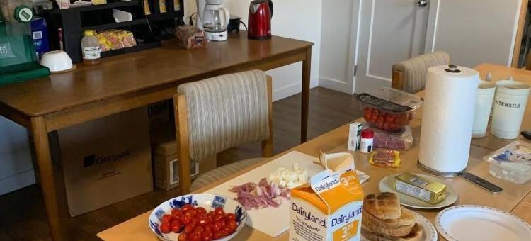 日落汽车旅馆(Sunset Motel)图片