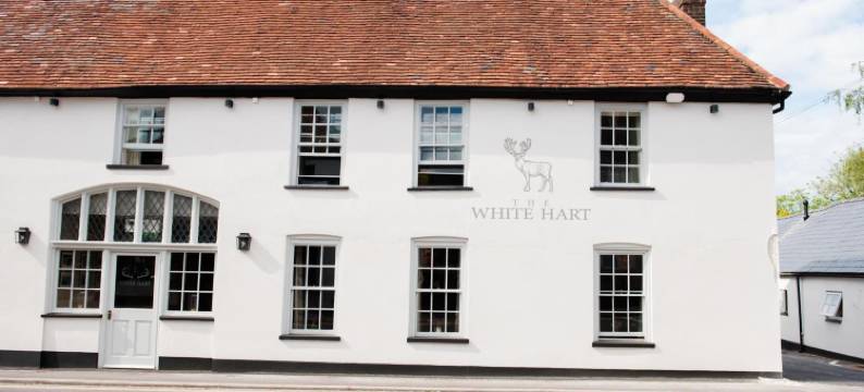 欧弗顿白鹿酒店(The White Hart, Overton)图片