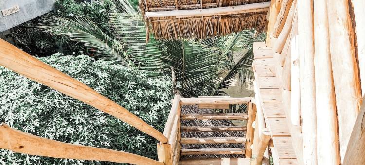 赞吉巴尔贾姆比亚尼蜜月巢(Honeymoon Nest Zanzibar in Jambiani)图片