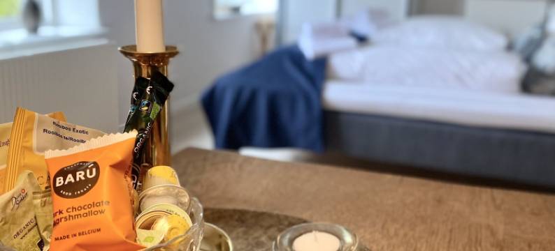 路哈维公寓式酒店(Rønhave)图片