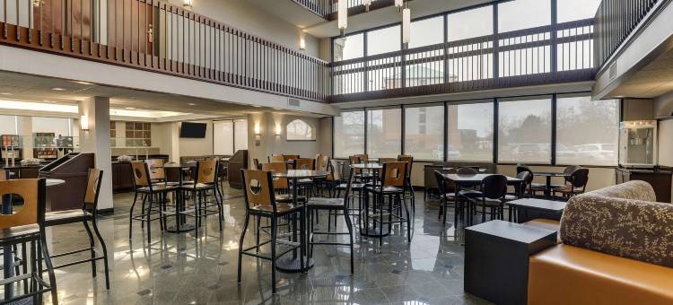 哥伦布都柏林德鲁里套房酒店(Drury Inn & Suites Columbus Dublin)图片