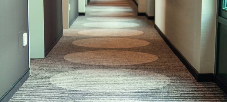 波恩我德南城酒店(My Südstadt Bonn)图片