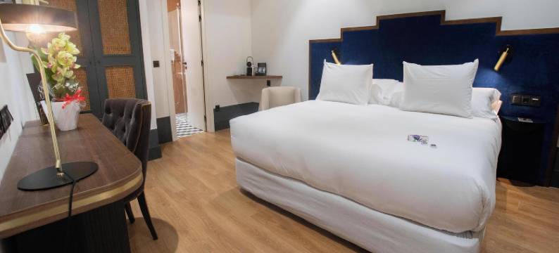 苏荷国会精品酒店(Soho Boutique Congreso)图片