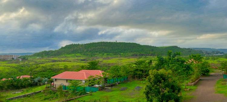 灌木棕榈度假村(Shrubbery Palms Resort)图片