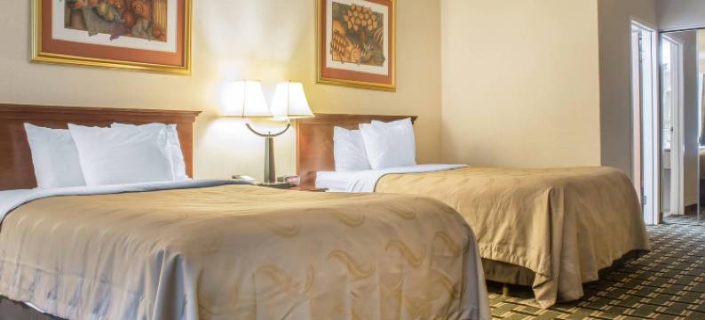 棕榈岛室内水上公园品质酒店套房(Quality Inn & Suites Palm Island Indoor Waterpark)图片