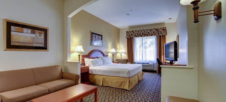 圣安吉洛智选假日酒店(Holiday Inn Express & Suites San Angelo)图片