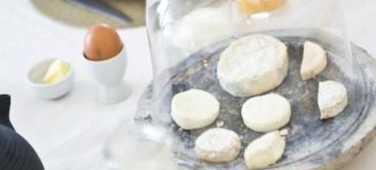 Château d'Uzer图片