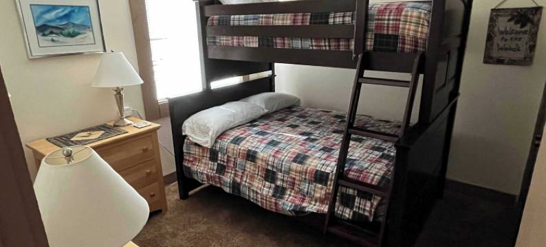 银树庇护所，在白杨树林中(Silver Tree Sanctuary in Aspen Grove!)图片