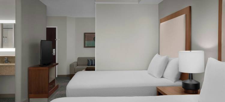 林奇堡机场-大学区万豪SpringHill酒店(SpringHill Suites Lynchburg Airport/University Area)图片