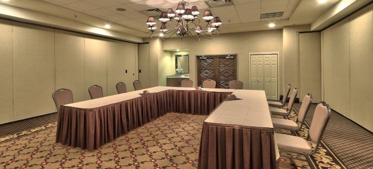 拉斯克鲁塞斯希尔顿花园酒店(Hilton Garden Inn Las Cruces)图片