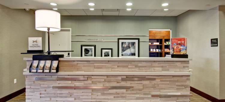 底特律特洛伊欢朋套房酒店(Hampton Inn & Suites Detroit/Troy)图片