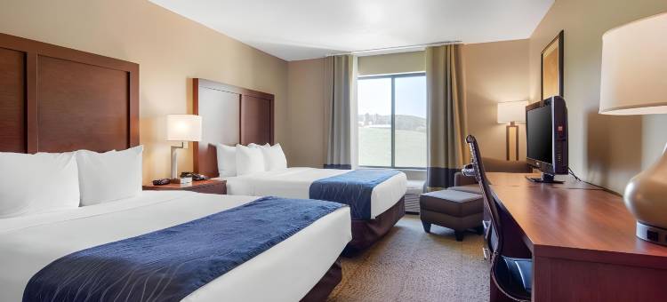 舒适酒店及套房库珀斯敦 / 米尔福德(Comfort Inn & Suites Milford / Cooperstown)图片