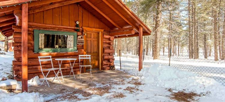 亚利桑那州北部简约历史风乡村度假垂钓原木小屋(Simple and Historic Fishing Log Cabin for a Rustic Retreat to Northern Arizona)图片