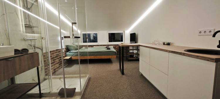 明斯克诺富特阁楼房(Novotel Loft Rooms by Minsk)图片