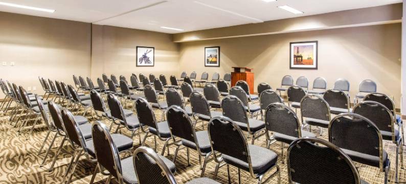 IAH布什机场-东舒适套房酒店(Comfort Inn & Suites IAH Bush Airport - East)图片