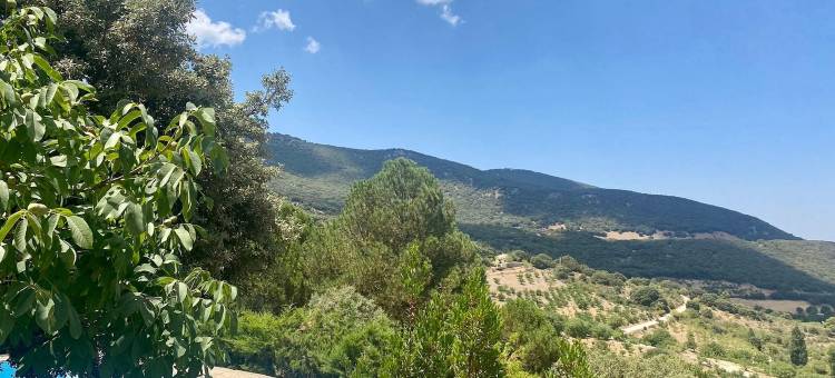 Villa in Torres with Pool near Sierra Magina图片