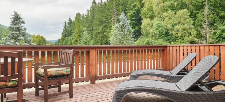 辛格酒店(Hotel Singer)图片