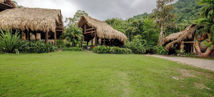 桑图阿里奥自然一旅馆(One Santuario Natural)图片