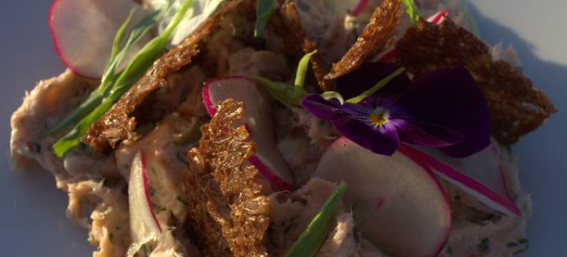 亨尼梅尔亚巴戴酒店(Henne Mølle Å Badehotel)图片