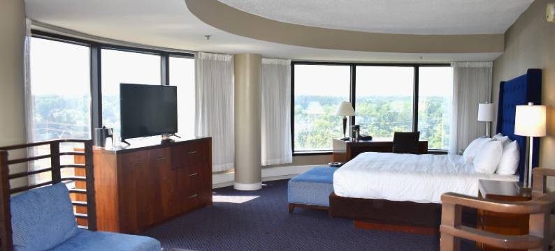 莱尔凯悦酒店-近内珀维尔(Hyatt Regency Lisle Near Naperville)图片