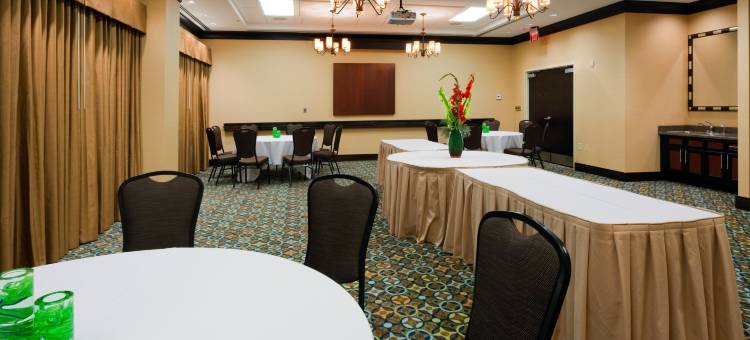 智选假日套房酒店移动/ 萨拉兰德(Holiday Inn Express & Suites MOBILE/SARALAND by IHG)图片