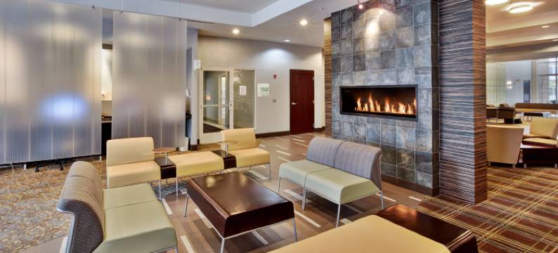 底特律大都会机场假日酒店(Holiday Inn DETROIT METRO AIRPORT by IHG)图片