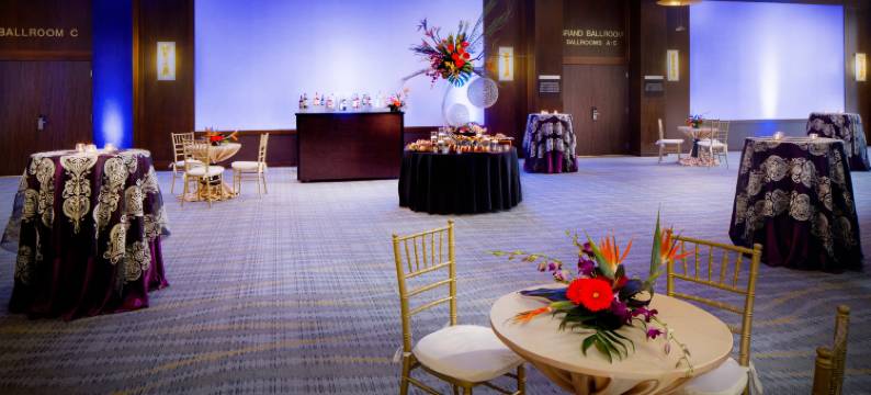 奥尔巴尼希尔顿酒店(Hilton Albany)图片