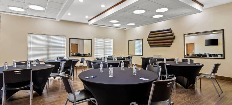 舒适套房酒店(Comfort Suites)图片