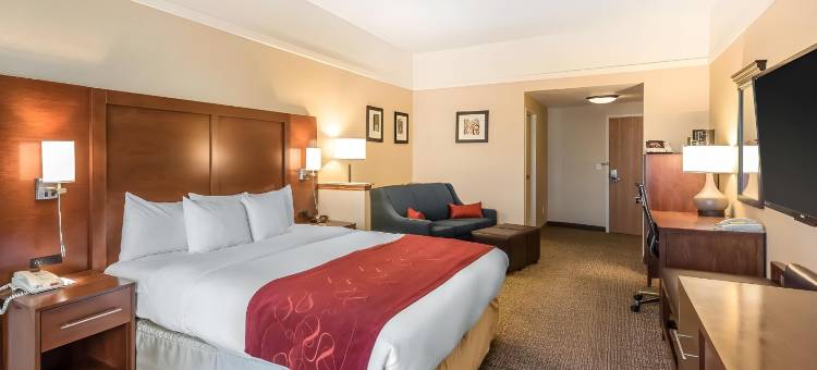 朗蒙特舒适全套房酒店(Comfort Suites Longmont)图片