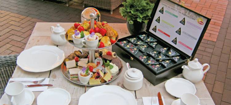 亨瑟贝尔根弗雷彻家庭酒店(Fletcher Wellness-Hotel De Hunzebergen)图片