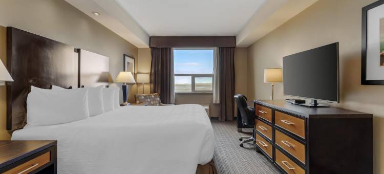 穆斯乔贝斯特韦斯特优质酒店(Best Western Plus Moose Jaw)图片