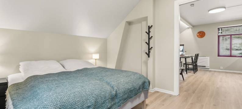 特雷马克公寓(Telemark Apartments)图片