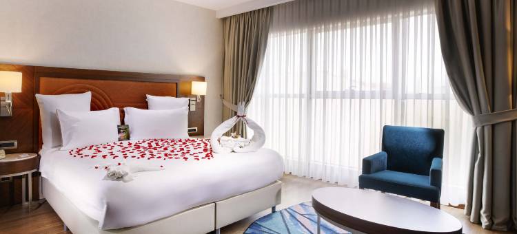 伊斯坦布尔巴克柯伊美居酒店(Mercure Istanbul Bakirkoy)图片