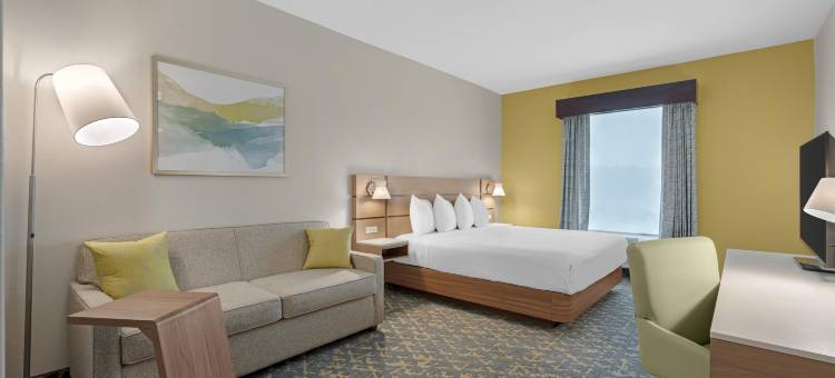 韦斯利查普尔贝斯特韦斯特酒店(Best Western Wesley Chapel)图片