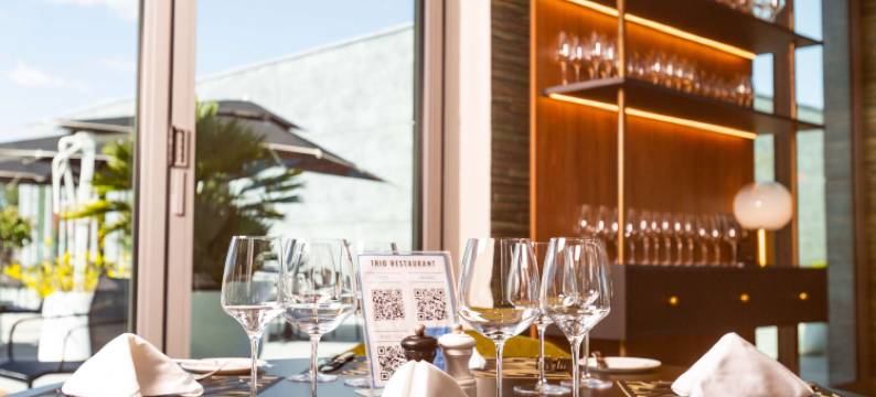 安塔那那利佛诺富特会议与水疗酒店(Novotel Convention & Spa Antananarivo)图片