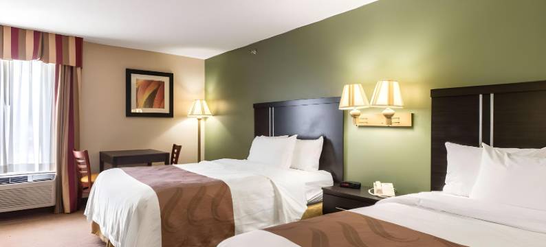 克莱蒙斯 I-40 凯艺套房酒店(Quality Inn & Suites Clemmons I-40)图片