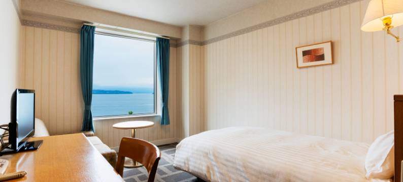 鹿儿岛美景酒店(Hotel Welview Kagoshima)图片