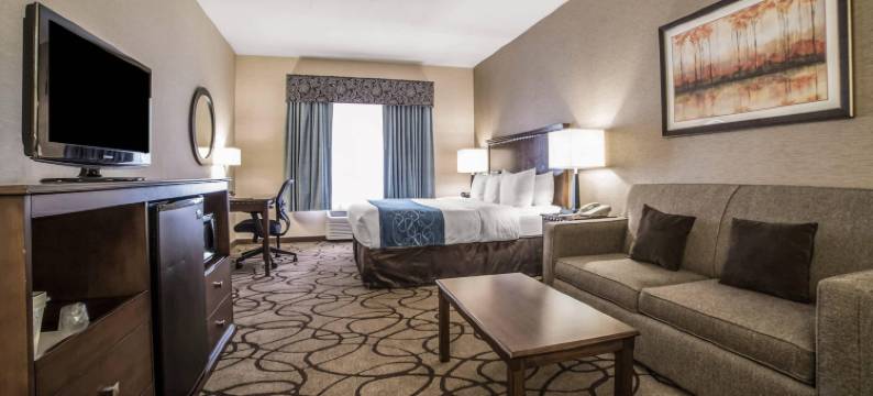 机场舒适套房酒店(Comfort Suites Airport)图片