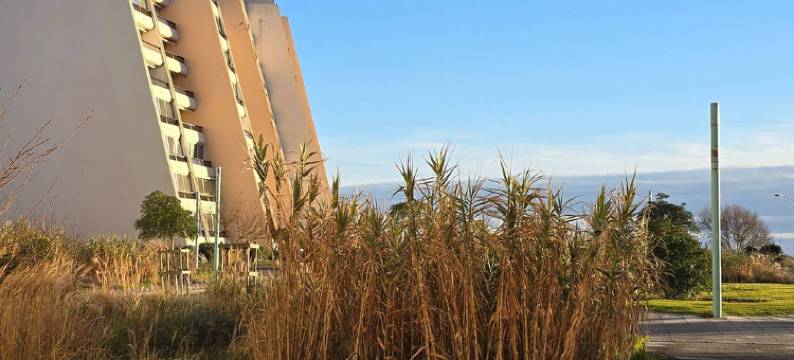 Apartment facing the Saint-Jean-de-Monts pier图片