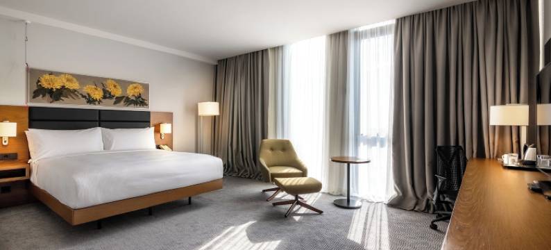 第比利斯希尔顿花园酒店(Hilton Garden Inn Tbilisi Chavchavadze)图片