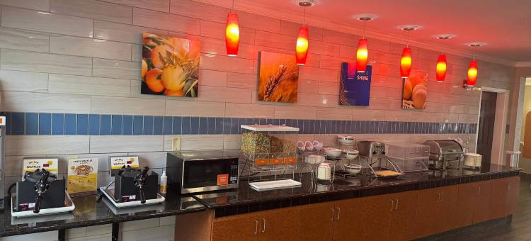 北查尔斯顿-诺斯伍兹舒适套房酒店(Comfort Inn & Suites North Charleston - Northwoods)图片