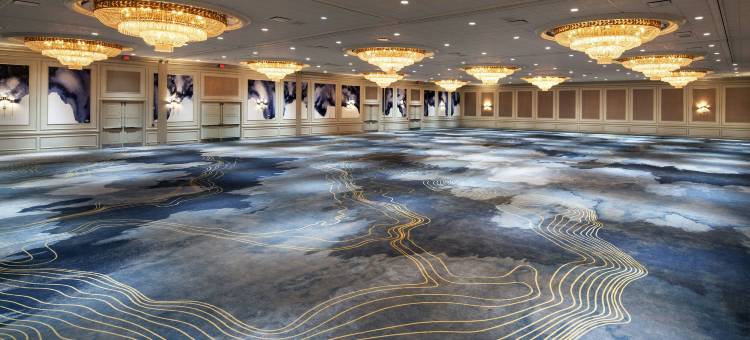盖勒瑞亚休斯顿威斯汀酒店(The Westin Galleria Houston)图片