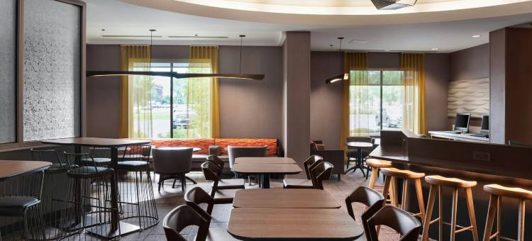 锡拉丘兹卡里尔环岛万豪SpringHill酒店(SpringHill Suites Syracuse Carrier Circle)图片