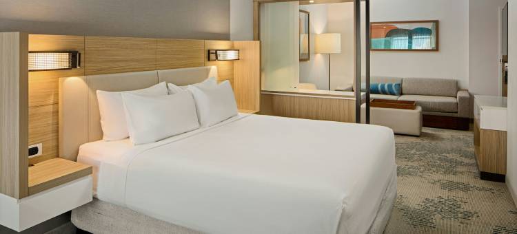 海波因特市中心SpringHill Suites酒店(SpringHill Suites by Marriott High Point Downtown)图片