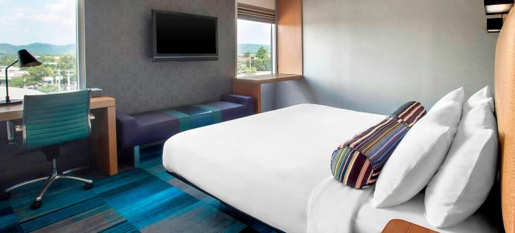 富兰克林纳什维尔雅乐轩酒店(Aloft Nashville Franklin)图片