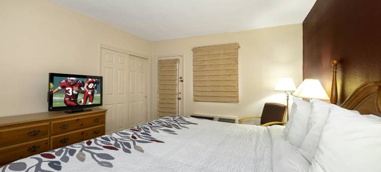 红屋顶酒店及套房-黑兹尔顿(Red Roof Inn & Suites Hazleton)图片