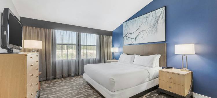 亨茨维尔南希尔顿逸林套房酒店(DoubleTree Suites by Hilton Huntsville South)图片