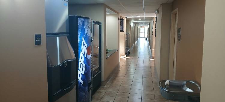 霍马红屋顶套房酒店(Red Roof Inn & Suites Houma)图片